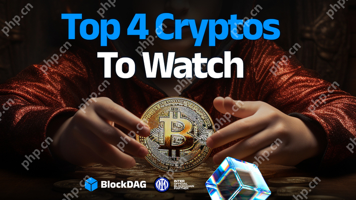 并非所有顶级趋势加密项目都是为了长期而建立的,但是其中一些开始与其他项目分开。